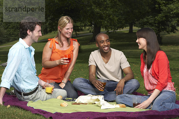 Fröhlichkeit  Freundschaft  Picknick