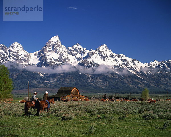 Vereinigte Staaten von Amerika  USA  fahren  Ehrfurcht  Cowboy  Wyoming