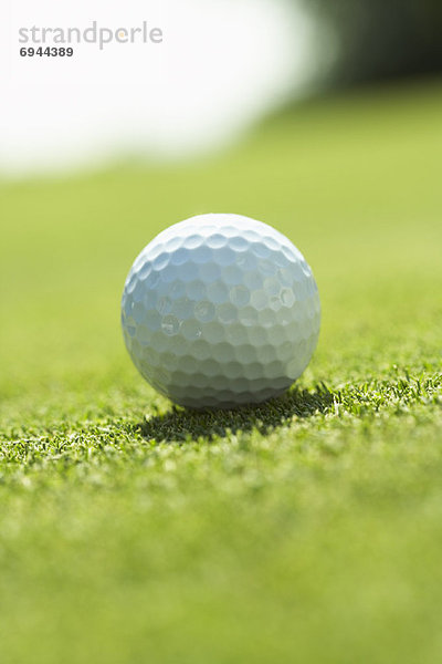 Close-up  close-ups  close up  close ups  Ball Spielzeug  Golfsport  Golf
