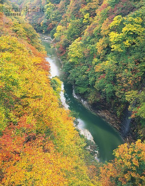 Akita Präfektur  Japan