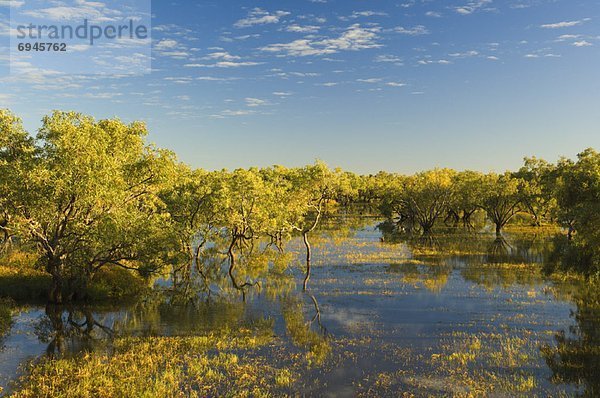 Australien  Northern Territory