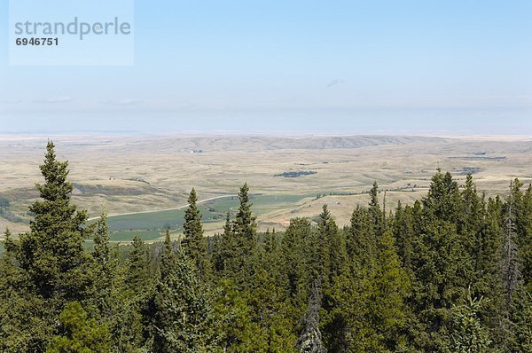 Landschaft  Hügel  Draufsicht  Alberta  Kanada