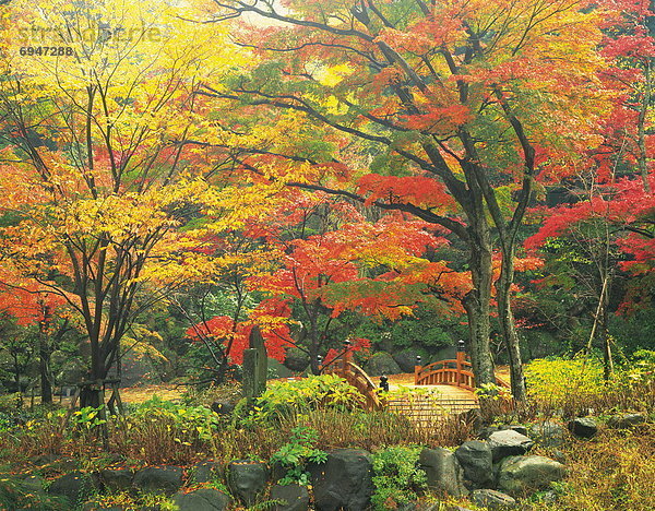Farbaufnahme  Farbe  Herbst  umgeben  Japan  Shizuoka Präfektur