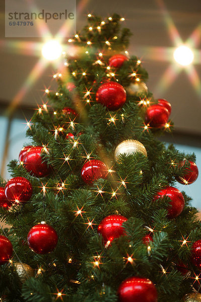Weihnachtsbaum Tannenbaum rot kugelförmig kugelig Kugeln Kugel