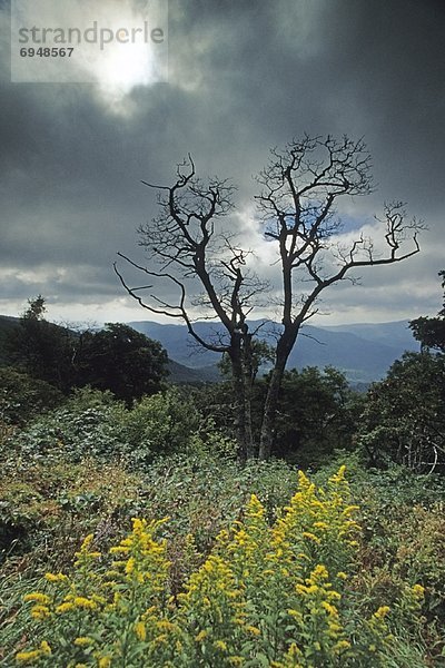 Vereinigte Staaten von Amerika USA Landschaftlich schön landschaftlich reizvoll Blue Ridge Gebirge North Carolina