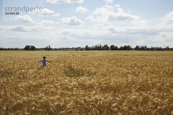 Getreide  rennen  Feld  Mädchen