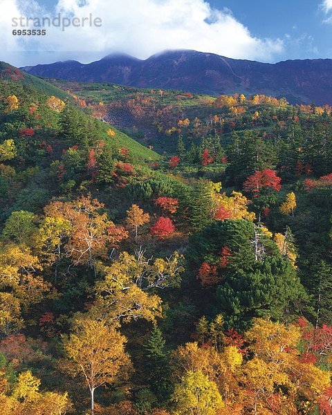 Farbaufnahme  Farbe  Berg  Herbst