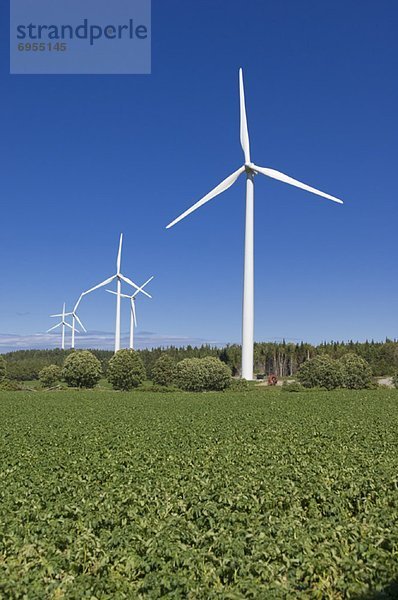 Windturbine Windrad Windräder Kanada Gaspe Quebec