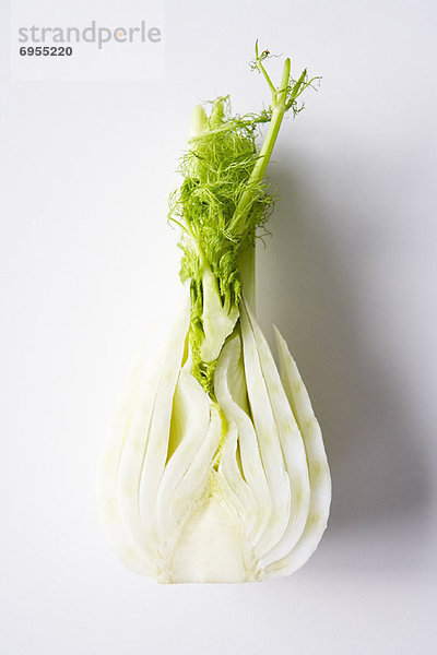 Fenchel