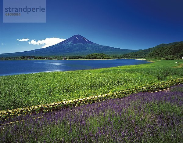 Japan  Yamanashi Präfektur