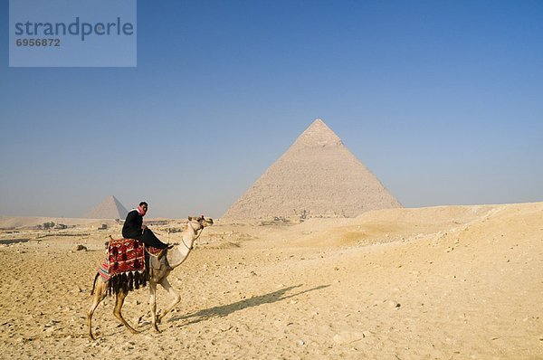 pyramidenförmig  Pyramide  Pyramiden  fahren  Kamel  Ägypten  Gise  Pyramide
