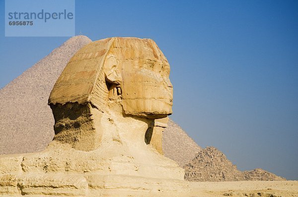 Sphinx  Giza  Ägypten