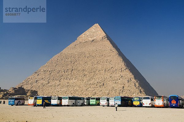 Buses by Pyramid of Khafre  Giza Egypt
