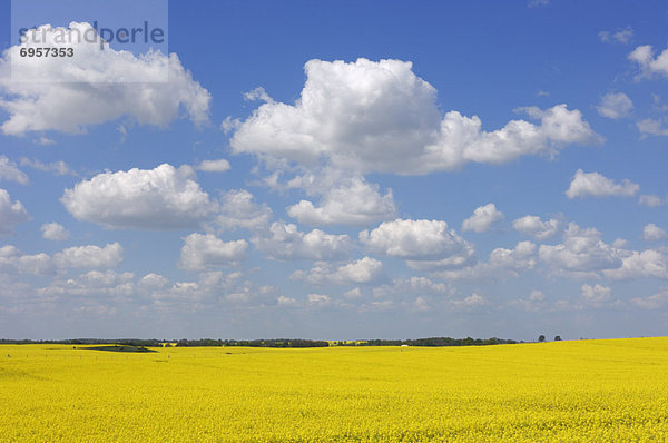 Mecklenburg-Vorpommern  Deutschland