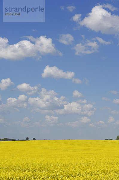 Mecklenburg-Vorpommern  Deutschland