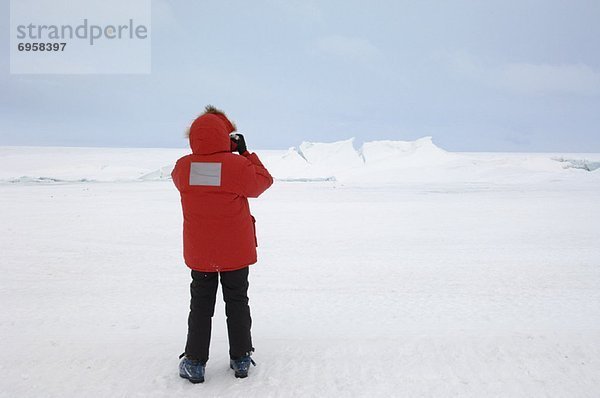 Frau  Streß  nehmen  Gemälde  Bild  Antarktis