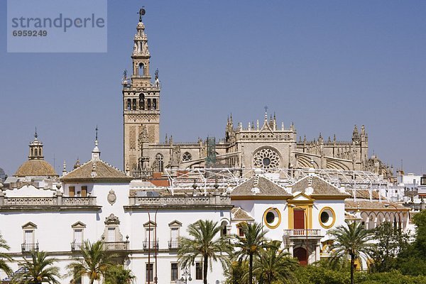 Kathedrale Stadtplatz Andalusien Sevilla Spanien