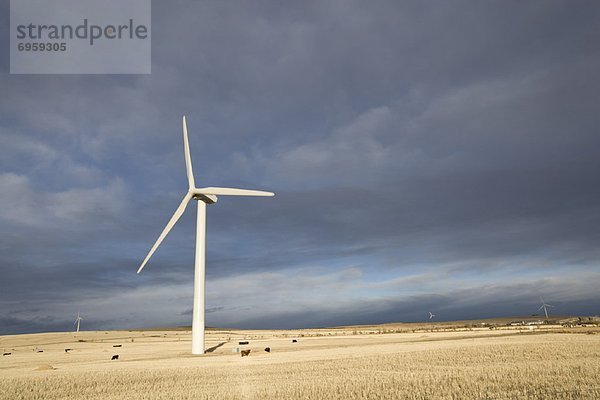 Windturbine Windrad Windräder Feld