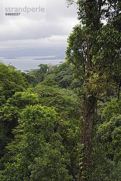 Draufsicht  Costa Rica  Lagune  Regenwald