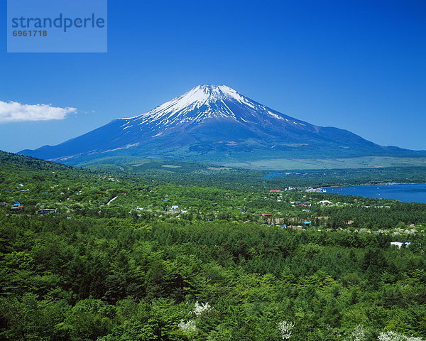 Mt. Fuji  Japan