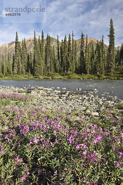 Kanada  Yukon