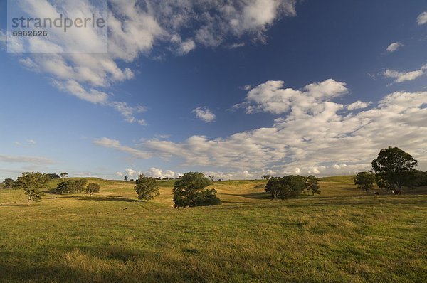 Agrarland  Victoria  Australien