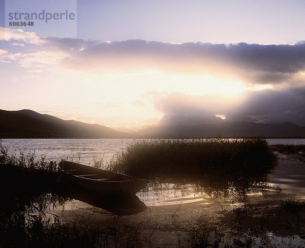 Ruderboot  Dingle  Irland  Halbinsel