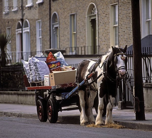 Dublin  Hauptstadt  Irland