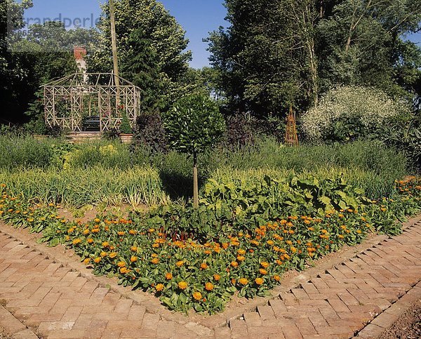 Gemüsegarten  Irland