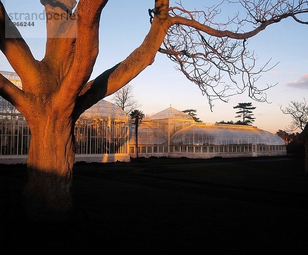 Dublin Hauptstadt Garten Botanik Irland irisch