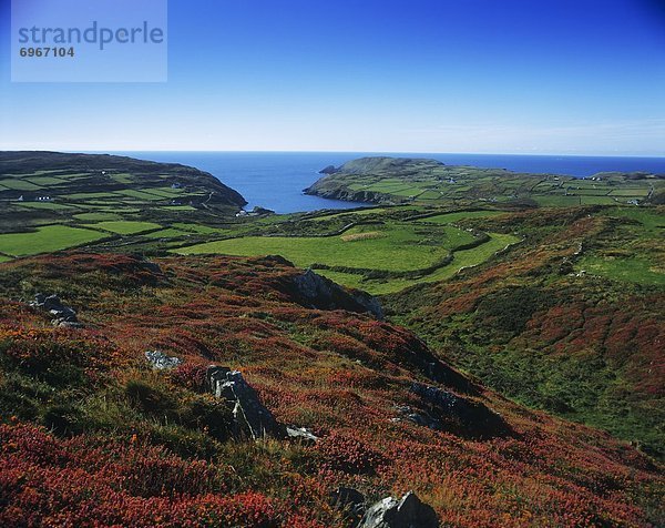 Panoramic View Of A Landscape  Clear Island  County Cork  Republic Of Ireland