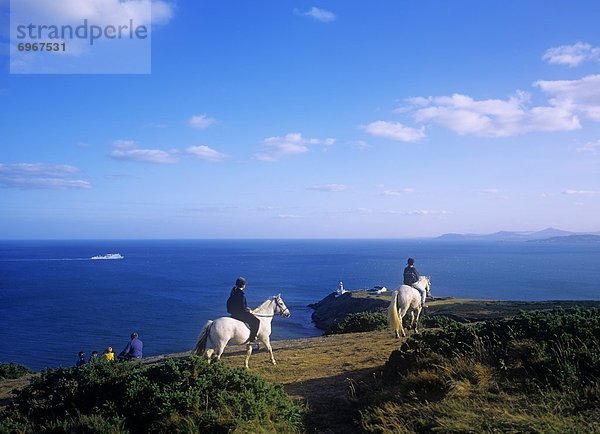 Islandpony  hoch  oben  nahe  Dublin  Hauptstadt  Mensch  Menschen  fahren  Küste  Meer  Ansicht  Flachwinkelansicht  Winkel