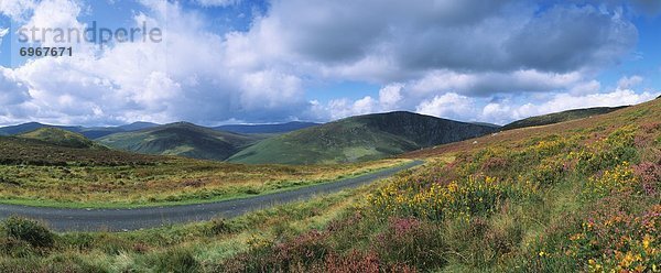 County Wicklow