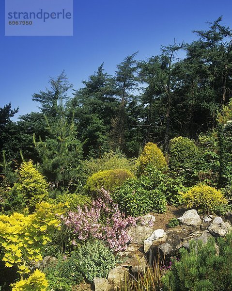 'Hillside Gardens  Glounthane  County Cork  Republic Of Ireland