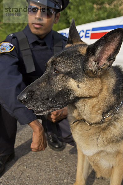 Portrait  Hund  Offizier  Polizei