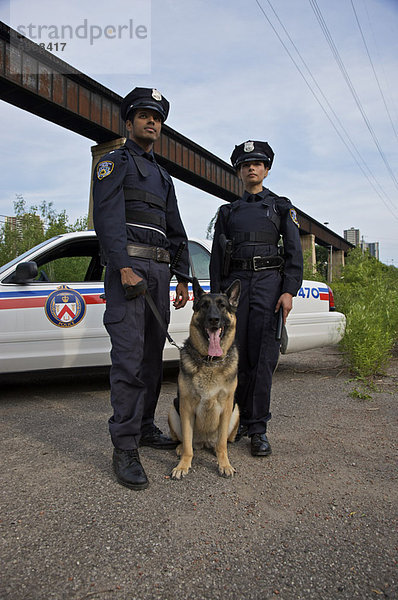 Portrait Hund Polizei