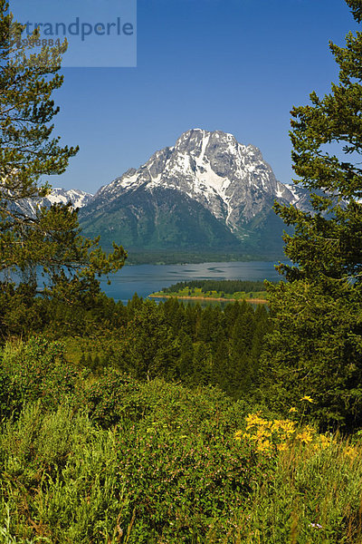 Vereinigte Staaten von Amerika  USA  Wyoming