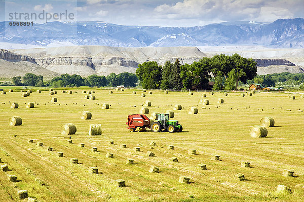 Vereinigte Staaten von Amerika  USA  Agrarland  Wyoming