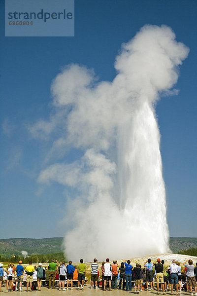 Vereinigte Staaten von Amerika  USA  Geysir  Yellowstone Nationalpark  Wyoming