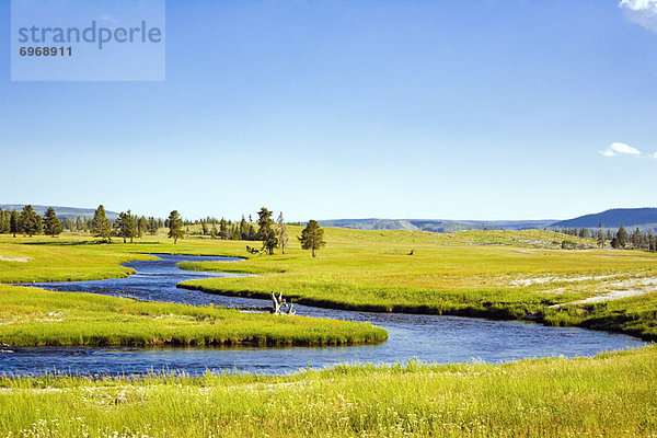 Firehole River  Fluss  Yellowstone-Nationalpark  Wyoming  USA