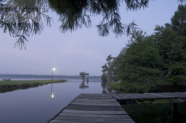 Vereinigte Staaten von Amerika  USA  Lafayette  Lake Martin  Louisiana