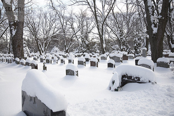 bedecken  Frische  Grabstein  Kanada  Friedhof  Ontario  Schnee  Toronto