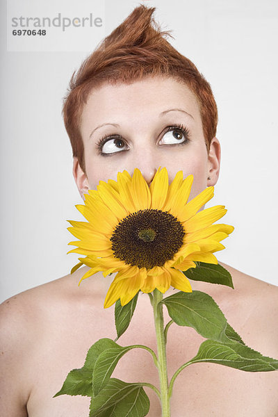 stinken  Sonnenblume  helianthus annuus  Portrait  Frau  riechen