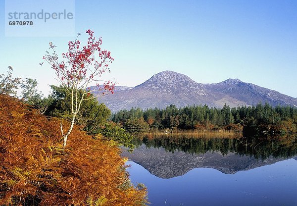 Connemara  Irland