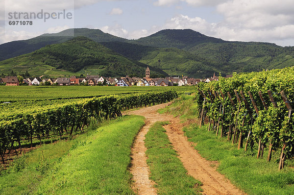 Frankreich  Elsass  Haut-Rhin