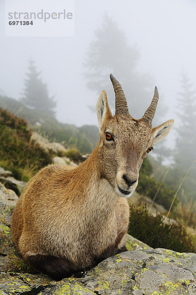 Frankreich  Chamonix