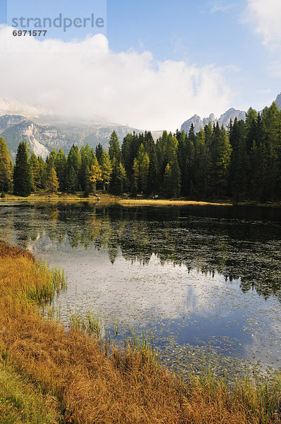 Trentino Südtirol  Dolomiten  Italien