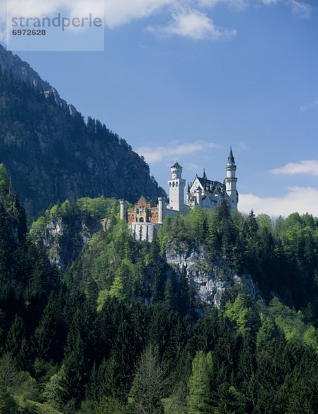 Palast  Schloß  Schlösser  grün  Schloss Neuschwanstein  umgeben