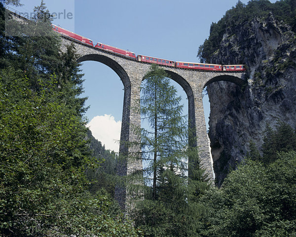 Brücke  Zug  Viadukt