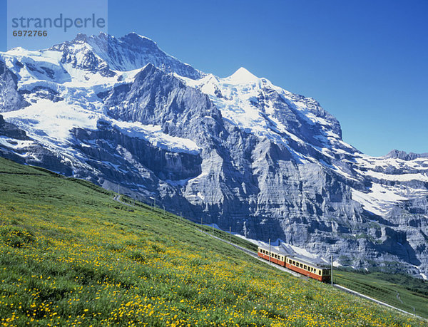 Kleine Scheidegg  Jungfrau  world heritage